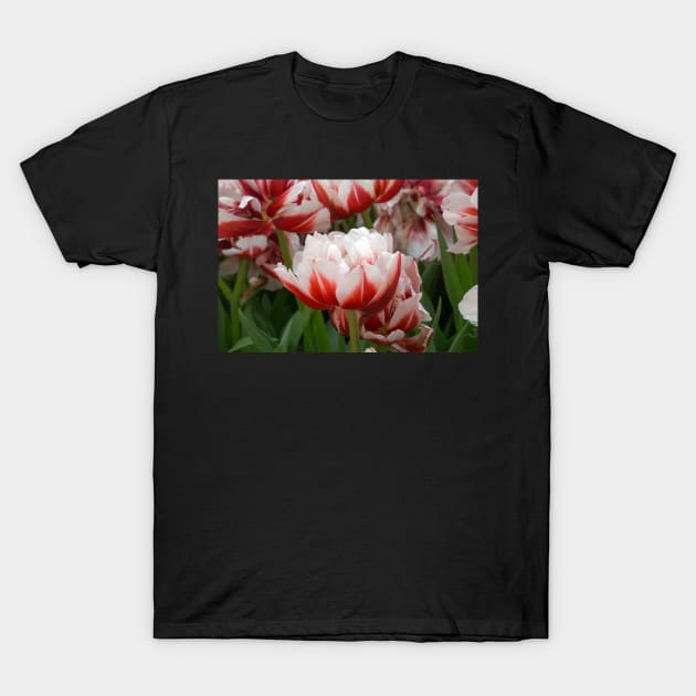 tulips T-Shirt by likbatonboot